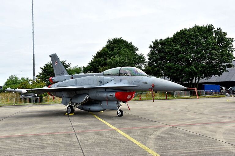 PAF_F16_Fighting_Falcon-768x512.jpeg